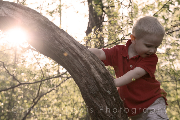 1-5, Chattanooga, TN, Tennessee, backlit, boy, children, "christine lewis photography", gallery, images, in, joy, kids, laughing, little, old, photographer, photos, pictures, portraits, red, small, su