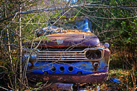 art, "christine lewis photography", fine, photograph, print, vintage, ford, overgrown, antique, truck