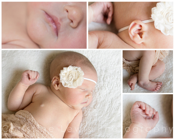 baby, chattanooga, "christine lewis photography", hixson, infant, newborn, portrait, professional, tennessee, tn, collage, details, mouth, ear, feet, hands, classic