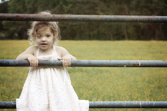 1-5, "christine lewis photography", kids, little, old, photographer, pictures, portraits, professional, years, yellow wildflower, girl, curls, white dress, rails