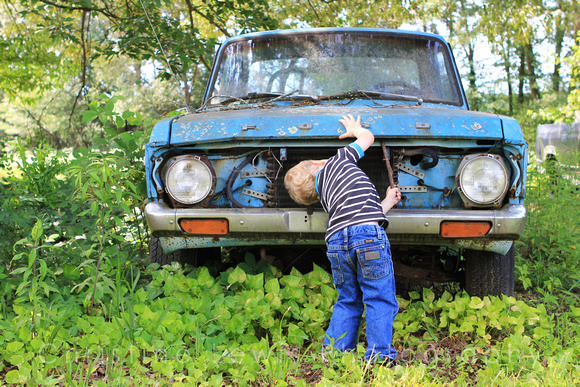 1-5, boy, "christine lewis photography", junkyard, kids, little, old, photographer, pictures, portraits, professional, three, years, blue truck, green weeds, looking at the hood