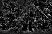 B&W, abandoned, "black and white", cabin, home, house, overgrown, rustic, "tellico plains", tennessee, vines