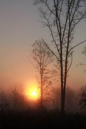 "christine lewis photography", countryside, farm, fog, orange, rural, sunrise, trees