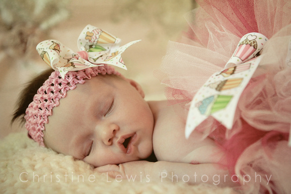 babies, chattanooga, infant, newborn, photography, pictures, professional, tennessee, tn, girl, pink, vintage, tutu, bows
