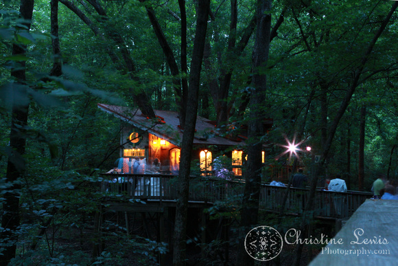 chattanooga nature center, tennessee, tn, outdoor, wedding, natural, professional, photographs, portraits, pictures, reception, discovery forest treehouse, night shot