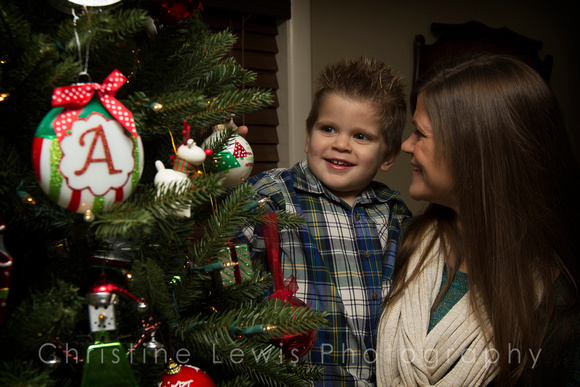 children professional photography portrait photo shoot chattanooga, TN Dunlap Christmas boy plaid, family, mother, son
