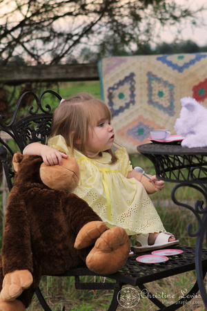 2 year old, girl, professional portrait, outdoor, chattanooga, tn, photographs, pictures, tea party, yellow dress, girly, monkey, stuffd animal
