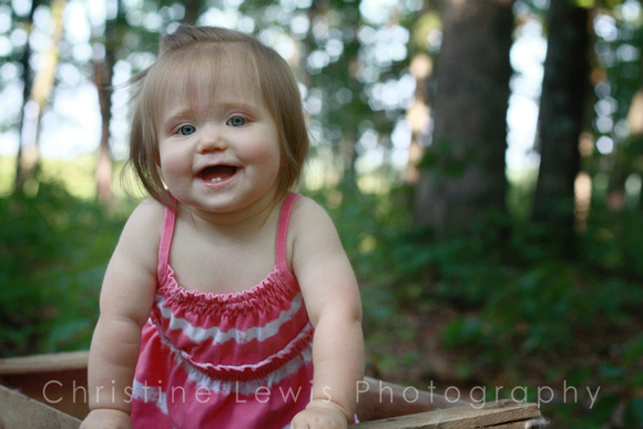 Chattanooga, TN, Tennessee, babies, baby, children, "christine lewis photography", gallery, girl, images, in, laugh, lifestyle, love, old, one, photographer, photography, photos, pictures, portrait, p