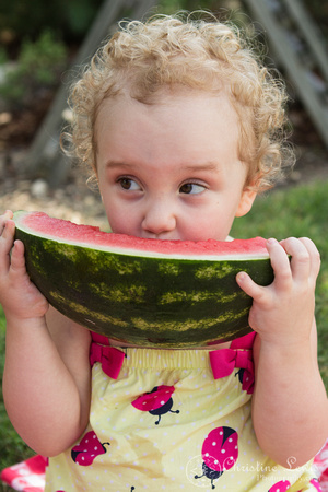 family portraits, photo shoot, professional, &quot;christine lewis photography&quot;, chattanooga, tennessee, tn, pictures, photographs, summer, watermelon, red head, girl, toddler, curly, girl