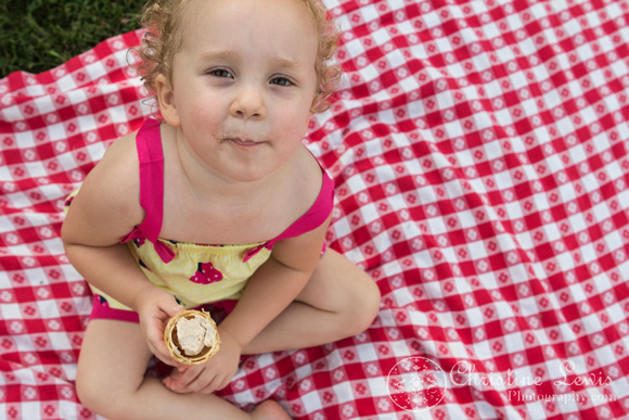 family portraits, photo shoot, professional, &quot;christine lewis photography&quot;, chattanooga, tennessee, tn, pictures, photographs, summer, ice cream, red head, girl, toddler, curly, girl