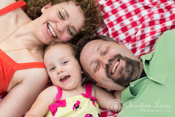 family portraits, photo shoot, professional, &quot;christine lewis photography&quot;, chattanooga, tennessee, tn, pictures, photographs, summer, red head, girl, toddler, curly, girl