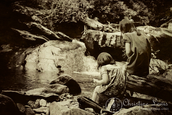 ocoee, tn, tennessee, go forth creek, portraits, family, children, professional, &quot;christine lewis photography&quot;, waterfall, girls, sisters, sepia, textured, vintage
