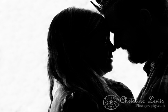 couples, tennessee river, professional pictures, chattanooga, tn, tennessee, photographs, photo shoot, &quot;christine lewis photography&quot;, shakerag, silhouete, black and white