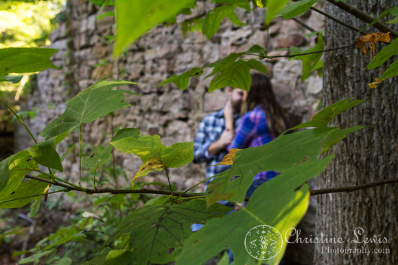 couples, tennessee river, professional pictures, chattanooga, tn, tennessee, photographs, photo shoot, &quot;christine lewis photography&quot;, shakerag, ruins, tree