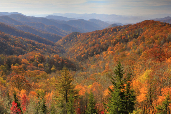 trees, fall, yellow, red, blue, mountains, great smoky mountain national park, gatlinburg, tn, tennessee, vista, fine art print, home decor, professional, "christine lewis photography"