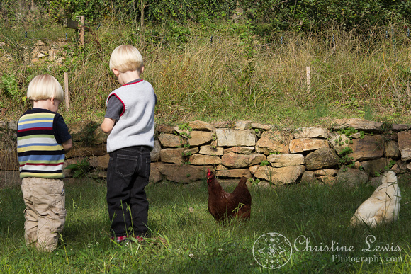 family photography, chattanooga, tn, tennessee, session, photo shoot, professional, st elmo, boys, sons, mother, father, lifestyle, portrait, chickens, playing, feeding