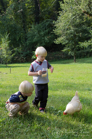 family photography, chattanooga, tn, tennessee, session, photo shoot, professional, st elmo, boys, sons, mother, father, lifestyle, portrait, feeding chickens