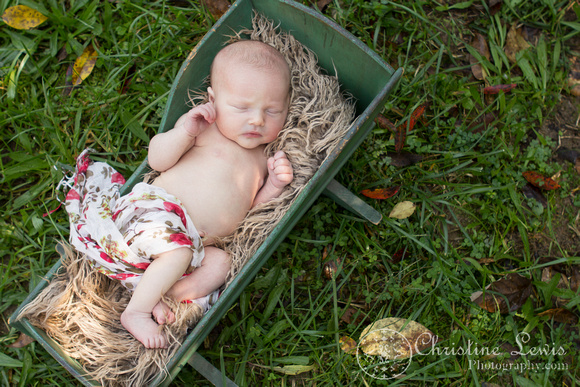 newborn session, chattanooga, tn, professional, christine lewis photography, soddy daisy, tennessee, outdoor, baby crib, antique