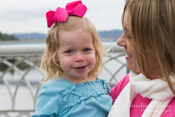 family portrait chattanooga tennessee tn christine lewis photography downtown pink blue girls parents walnut st bridge