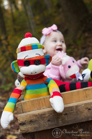 family portrait chattanooga, tennessee, tn, dayton, laurel falls, cumberland trail, christine lewis photography, lifestyle, baby girl, six months old, trail, sock monkey