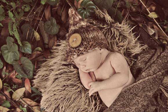 portrait photographer chattanooga tn tennessee newborn children babies families professional christine lewis photography