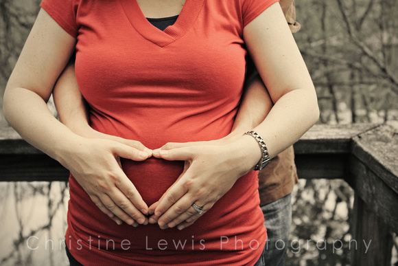 a, baby, belly, boy, bump, chattanooga, dad, expecting, father, girl, its, maternity, mom, mother, parents, photographs, pictures, portraits, pregnant, tennessee, marsh, red clay historic park