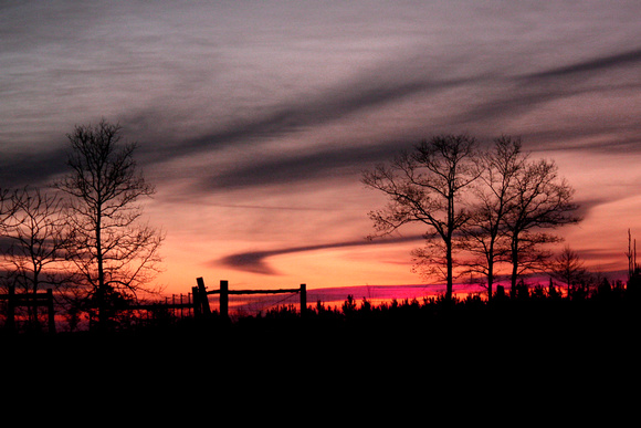 "christine lewis photography", countryside, fence, pink, rural, silhouette, sunrise