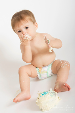 one year old, portraits, professional, chattanooga, tn, tennessee, hixson, studio, &quot;christine lewis photography&quot;, smash cake