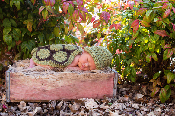 newborn portrait chattanooga tn &quot;christine lewis photography&quot; sleeping outdoor natural light turtle knit