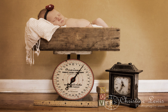 newborn portrait session chattanooga, tn ooltewah professional weight height time length vintage antique