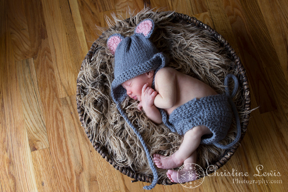 newborn portrait session chattanooga, tn ooltewah professional girl mouse knit