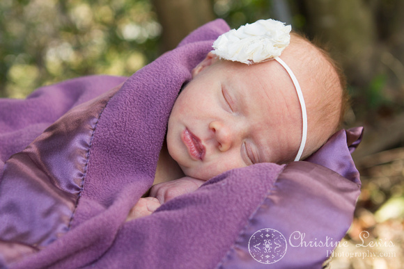newborn portrait session chattanooga, tn ooltewah professional girl, purple