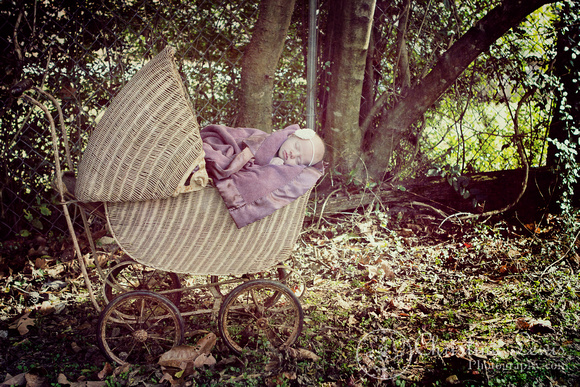 newborn portrait session chattanooga, tn ooltewah professional girl outdoor purple vintage carriage