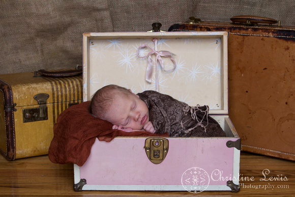 newborn portrait session chattanooga, tn ooltewah professional girl vintage suitcase burlap