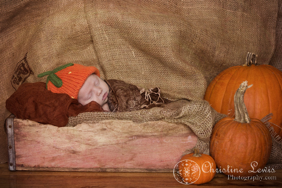 newborn portrait session chattanooga, tn ooltewah professional girl country pumpkin fall burlap wooden