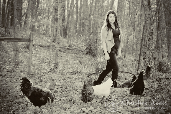 chickens, photo shoot, speciality, professional, chattanooga, tn, tennessee, field, outdoor, vintage, feeding