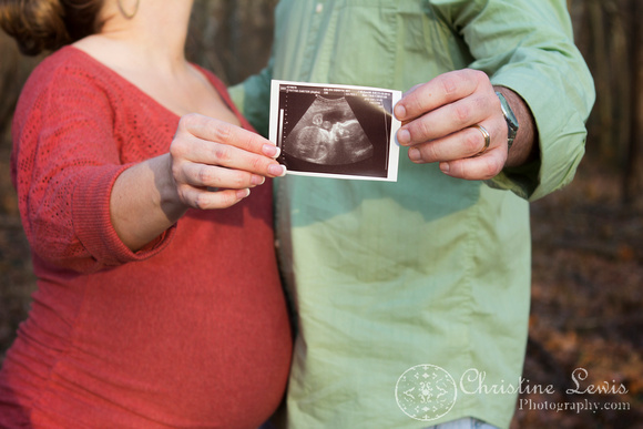professional photography chattanooga, tn maternity woods enterprise south park &quot;christine lewis photography&quot; natural outdoor ultrasound