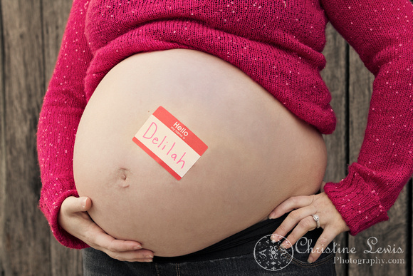 maternity photographer chattanooga, tn professional photo shoot session barn big sister pregnant expecting belly