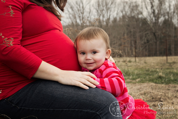 maternity photographer chattanooga, tn professional photo shoot session barn big sister pregnant expecting