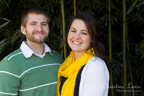 professional photographer chattanooga, tn, &quot;christine lewis photography&quot; couple, anniversary, one year, love, marriage, bamboo, yellow, green