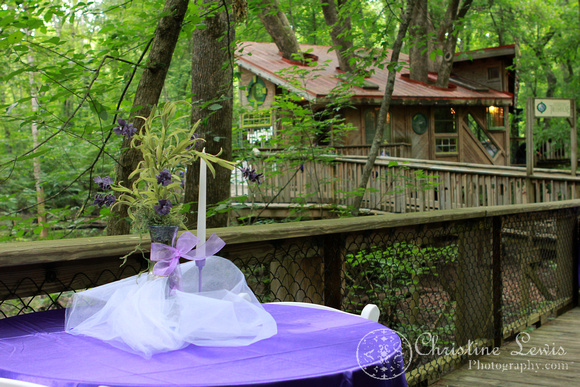 chattanooga nature center, tennessee, tn, outdoor, wedding, natural, professional, photographs, portraits, pictures, reception, discovery forest treehouse, purple
