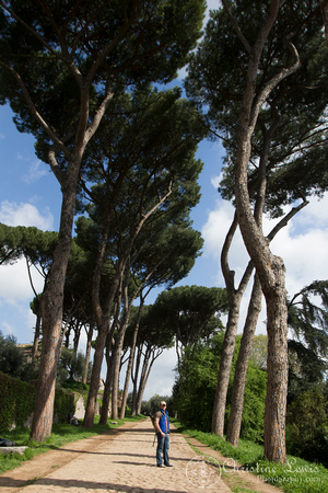 rome, italy, &quot;christine lewis photography&quot;, travel, palentine hill, ancient, ruins, umbrella trees