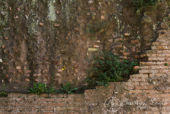 rome, italy, &quot;christine lewis photography&quot;, travel, palentine hill, ancient, ruins