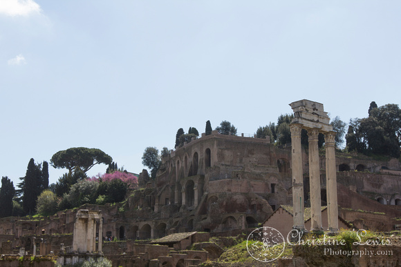 rome, italy, &quot;christine lewis photography&quot;, travel, roman forum, ancient, ruins