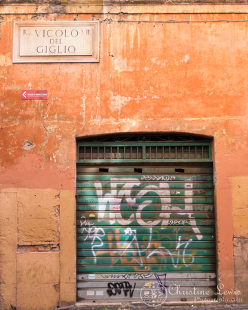 rome, italy, &quot;christine lewis photography&quot;, home decor, fint art print, street, garage, graffiti