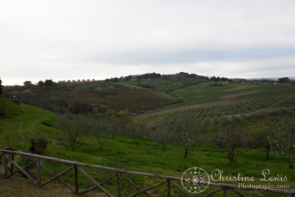 tuscany, italy, countryside, vineyard, olive trees, travel, &quot;christine lewis photography,&quot; home decor, fine art print