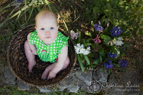family portrait, professional, chattanooga, tn, tennessee, &quot;christine lewis photography&quot;, child, baby, basket, spring, flowers, looking up