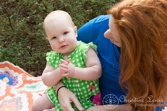 family portrait, professional, chattanooga, tn, tennessee, &quot;christine lewis photography&quot;, child, baby, mommy