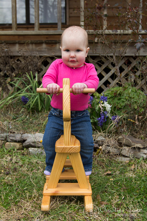 family portrait, professional, chattanooga, tn, tennessee, &quot;christine lewis photography&quot;, child, baby, rocking horse