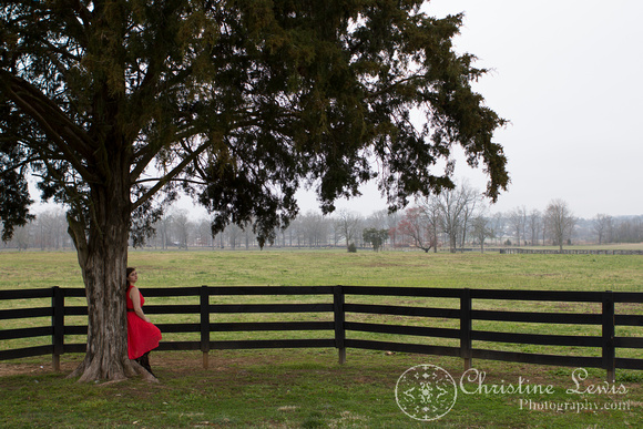 senior portrait, professional, chattanooga, ooltewah, tn, girl, female, class of 2013, &quot;christine lewis photography&quot;, outdoor, natural, tree, fence, ranch, coral, landscape